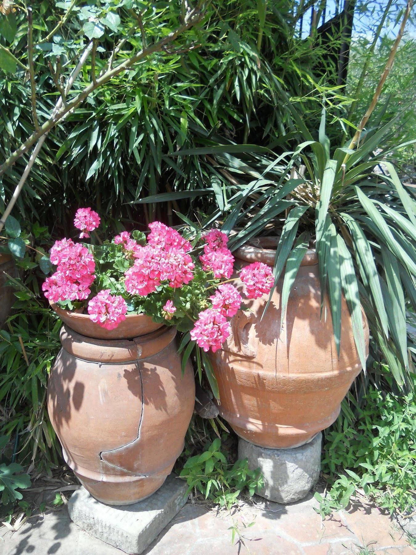 Agriturismo Le Macine Firenze Eksteriør billede