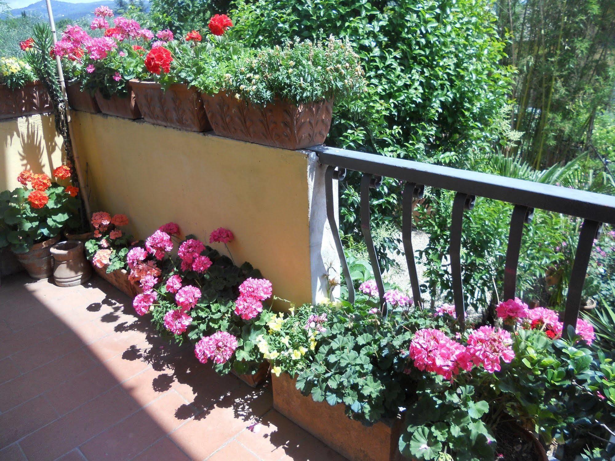 Agriturismo Le Macine Firenze Eksteriør billede